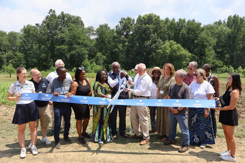 Ribbon_01d02b1e-cae3-4f14-be3f-8ce2fe086ebc_800px